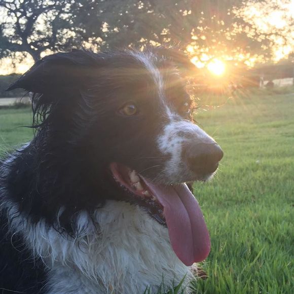 Meet your Posher, James - Picture 1 of 1